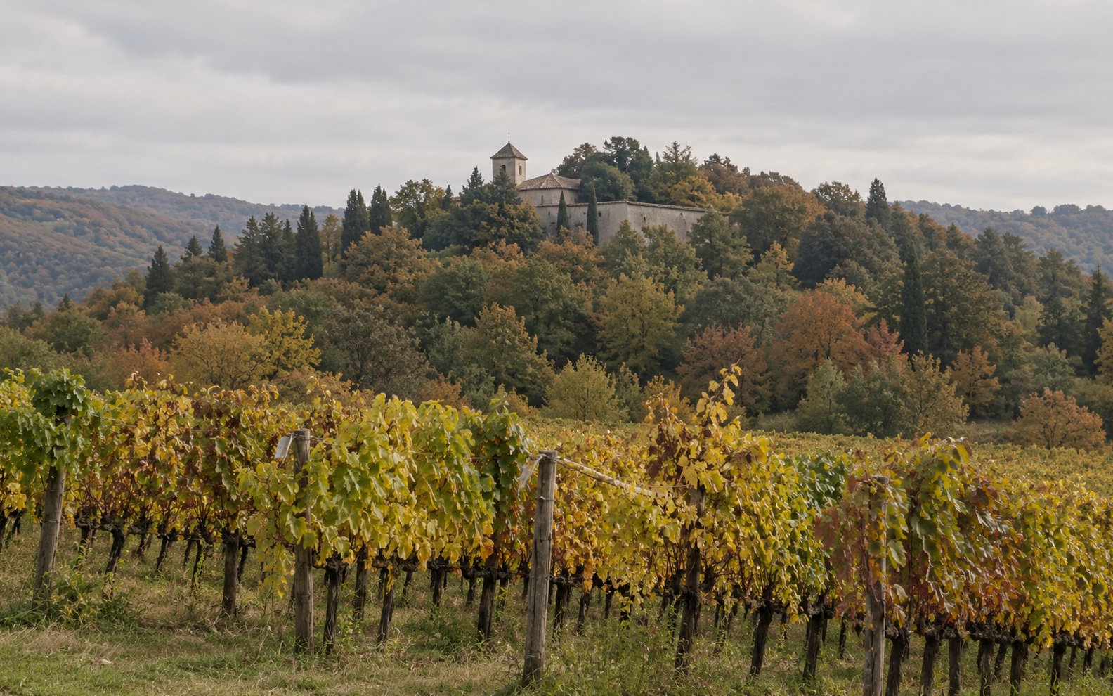 Autumn vines fill the foreground below a wooded hill with a pale wall and tower partly hidden by trees.