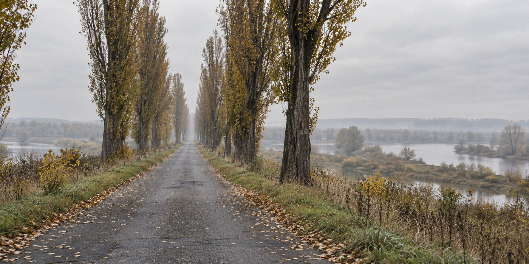 A narrow straight road runs between autumn poplars beside a misty river valley.